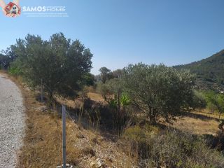 Land plot 5.602 sqm for sale, Samos Prefecture, Samos-thumb-15