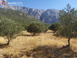 Land plot 5.602 sqm for sale, Samos Prefecture, Samos-thumb-16