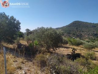 Land plot 5.602 sqm for sale, Samos Prefecture, Samos-thumb-17
