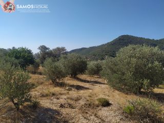 Land plot 5.602 sqm for sale, Samos Prefecture, Samos-thumb-18