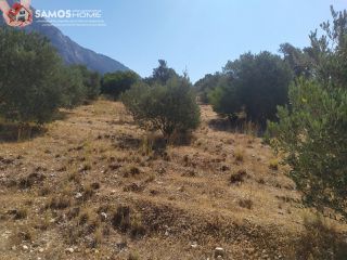 Land plot 5.602 sqm for sale, Samos Prefecture, Samos-thumb-19
