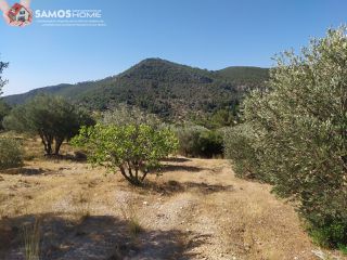 Land plot 5.602 sqm for sale, Samos Prefecture, Samos-thumb-20