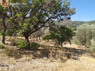Land plot 5.602 sqm for sale, Samos Prefecture, Samos-thumb-22