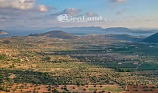 Αγροτεμάχια 4.167 τ.μ. για πώληση, Αργολίδα, Ερμιόνη-thumb-7