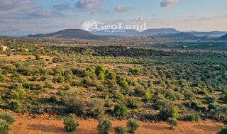 Αγροτεμάχια 4.167 τ.μ. για πώληση, Αργολίδα, Ερμιόνη-thumb-12