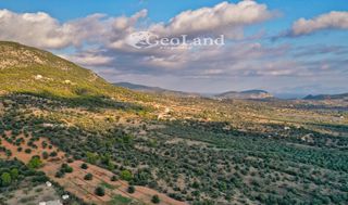 Αγροτεμάχια 4.167 τ.μ. για πώληση, Αργολίδα, Ερμιόνη-thumb-17