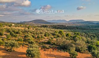 Αγροτεμάχια 4.167 τ.μ. για πώληση, Αργολίδα, Ερμιόνη-thumb-1