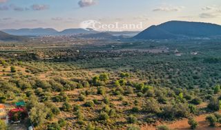 Αγροτεμάχια 4.167 τ.μ. για πώληση, Αργολίδα, Ερμιόνη-thumb-14