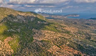 Αγροτεμάχια 4.167 τ.μ. για πώληση