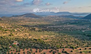 Αγροτεμάχια 4.167 τ.μ. για πώληση, Αργολίδα, Ερμιόνη-thumb-9