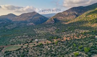 Αγροτεμάχια 4.167 τ.μ. για πώληση, Αργολίδα, Ερμιόνη-thumb-20