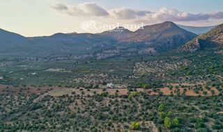 Αγροτεμάχια 4.167 τ.μ. για πώληση, Αργολίδα, Ερμιόνη-thumb-21