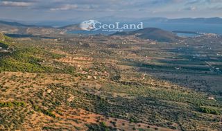 Αγροτεμάχια 4.167 τ.μ. για πώληση, Αργολίδα, Ερμιόνη-thumb-6