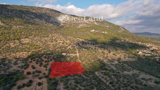Αγροτεμάχια 4.167 τ.μ. για πώληση, Αργολίδα, Ερμιόνη-thumb-5