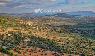 Αγροτεμάχια 4.167 τ.μ. για πώληση, Αργολίδα, Ερμιόνη-thumb-8