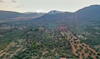 Αγροτεμάχια 4.167 τ.μ. για πώληση, Αργολίδα, Ερμιόνη-thumb-23