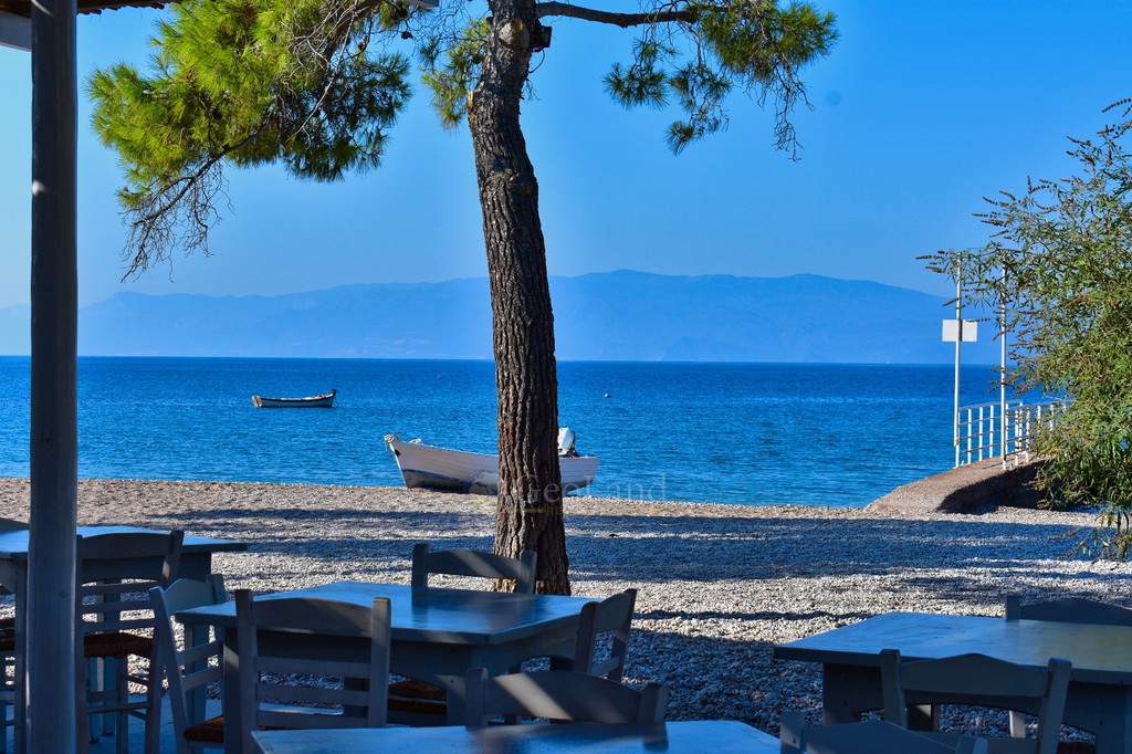 Κατάστημα 550 τ.μ. πρός πώληση, Νησιά Αργοσαρωνικού, Σπέτσες