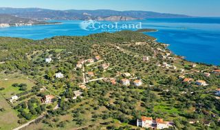 Αγροτεμάχια 4.010 τ.μ. για πώληση, Αργολίδα, Ερμιόνη-thumb-1