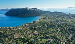Αγροτεμάχια 4.010 τ.μ. για πώληση, Αργολίδα, Ερμιόνη-thumb-9