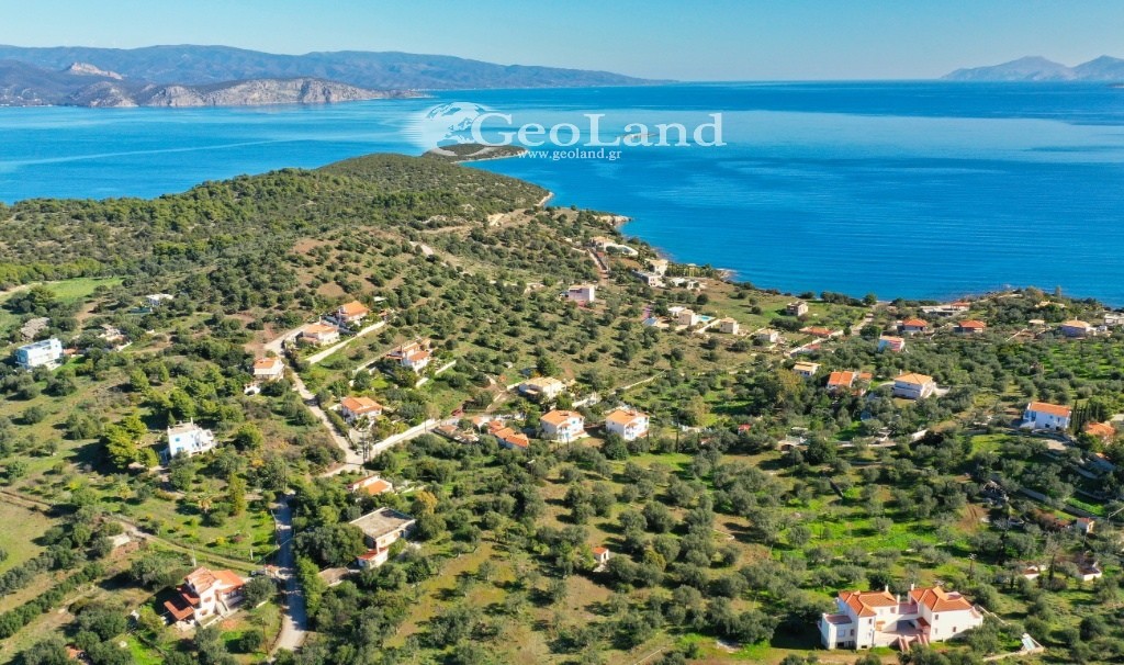 Αγροτεμάχια 4.010 τ.μ. για πώληση, Αργολίδα, Ερμιόνη