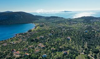 Αγροτεμάχια 4.010 τ.μ. για πώληση, Αργολίδα, Ερμιόνη-thumb-10