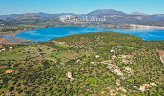 Αγροτεμάχια 4.010 τ.μ. για πώληση, Αργολίδα, Ερμιόνη-thumb-6
