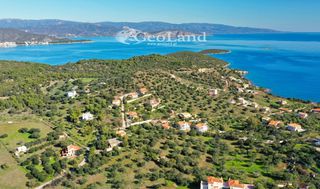 Αγροτεμάχια 4.010 τ.μ. για πώληση, Αργολίδα, Ερμιόνη-thumb-2