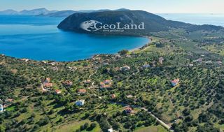 Αγροτεμάχια 4.010 τ.μ. για πώληση, Αργολίδα, Ερμιόνη-thumb-7