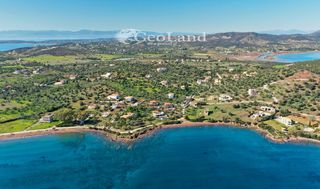 Αγροτεμάχια 4.010 τ.μ. για πώληση, Αργολίδα, Ερμιόνη-thumb-20
