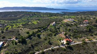 Αγροτεμάχια 4.071 τ.μ. για πώληση