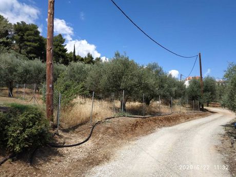 Land plot 964sqm for sale-Akrata » Ampelos