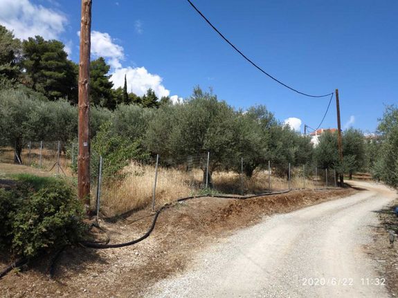 Οικόπεδο 964 τ.μ. πρός πώληση
