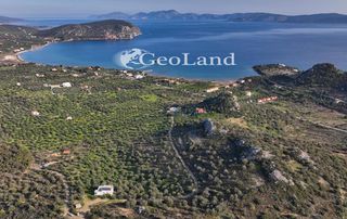 Αγροτεμάχια 4.010 τ.μ. για πώληση, Αργολίδα, Ερμιόνη-thumb-7