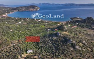 Αγροτεμάχια 4.010 τ.μ. για πώληση, Αργολίδα, Ερμιόνη-thumb-2