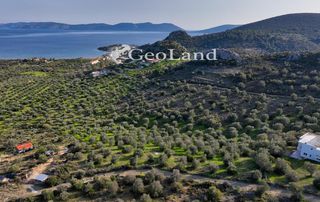 Αγροτεμάχια 4.010 τ.μ. για πώληση, Αργολίδα, Ερμιόνη-thumb-8