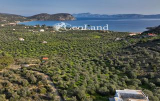 Αγροτεμάχια 4.010 τ.μ. για πώληση, Αργολίδα, Ερμιόνη-thumb-6