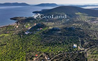 Αγροτεμάχια 4.010 τ.μ. για πώληση, Αργολίδα, Ερμιόνη-thumb-5