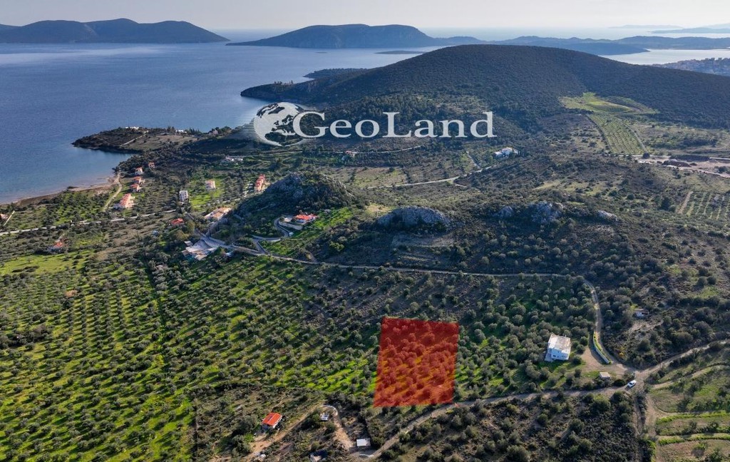 Αγροτεμάχια 4.010 τ.μ. προς πώληση, Αχλαδίτσα
