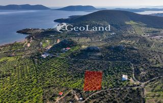 Αγροτεμάχια 4.010 τ.μ. για πώληση, Αργολίδα, Ερμιόνη-thumb-4