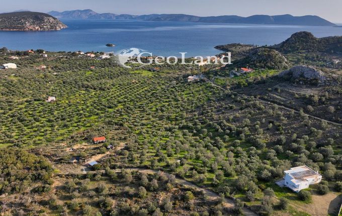 Αγροτεμάχια 4.010 τ.μ. για πώληση, Αργολίδα, Ερμιόνη