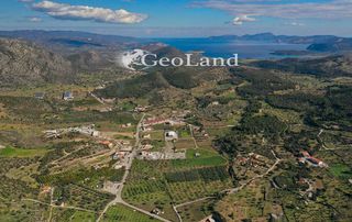 Αγροτεμάχια 10.000 τ.μ. προς πώληση, Κέντρο Κρανιδίου-thumb-10