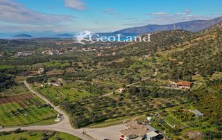Αγροτεμάχια 10.000 τ.μ. προς πώληση, Κέντρο Κρανιδίου-thumb-9