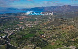 Αγροτεμάχια 10.000 τ.μ. προς πώληση, Κέντρο Κρανιδίου-thumb-12