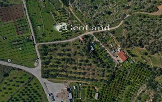 Αγροτεμάχια 10.000 τ.μ. προς πώληση, Κέντρο Κρανιδίου-thumb-1