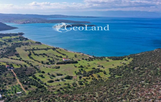 Αγροτεμάχια 76.112 τ.μ. για πώληση, Αργολίδα, Κρανίδι