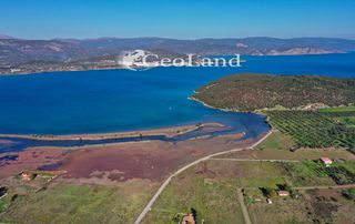 Αγροτεμάχια 577 τ.μ. για πώληση, Αργολίδα, Ερμιόνη-thumb-8
