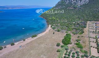 Αγροτεμάχια 6.200 τ.μ. για πώληση, Αργολίδα, Ερμιόνη-thumb-15