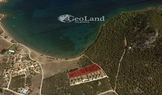 Αγροτεμάχια 6.200 τ.μ. για πώληση, Αργολίδα, Ερμιόνη-thumb-19