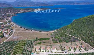 Αγροτεμάχια 6.200 τ.μ. για πώληση, Αργολίδα, Ερμιόνη-thumb-22