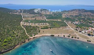 Αγροτεμάχια 6.200 τ.μ. για πώληση, Αργολίδα, Ερμιόνη-thumb-5